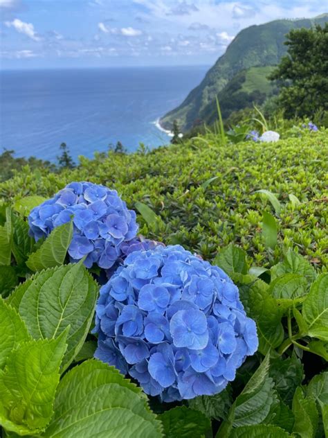 13 Stunning Beaches in Azores (+ Natural Pools!)